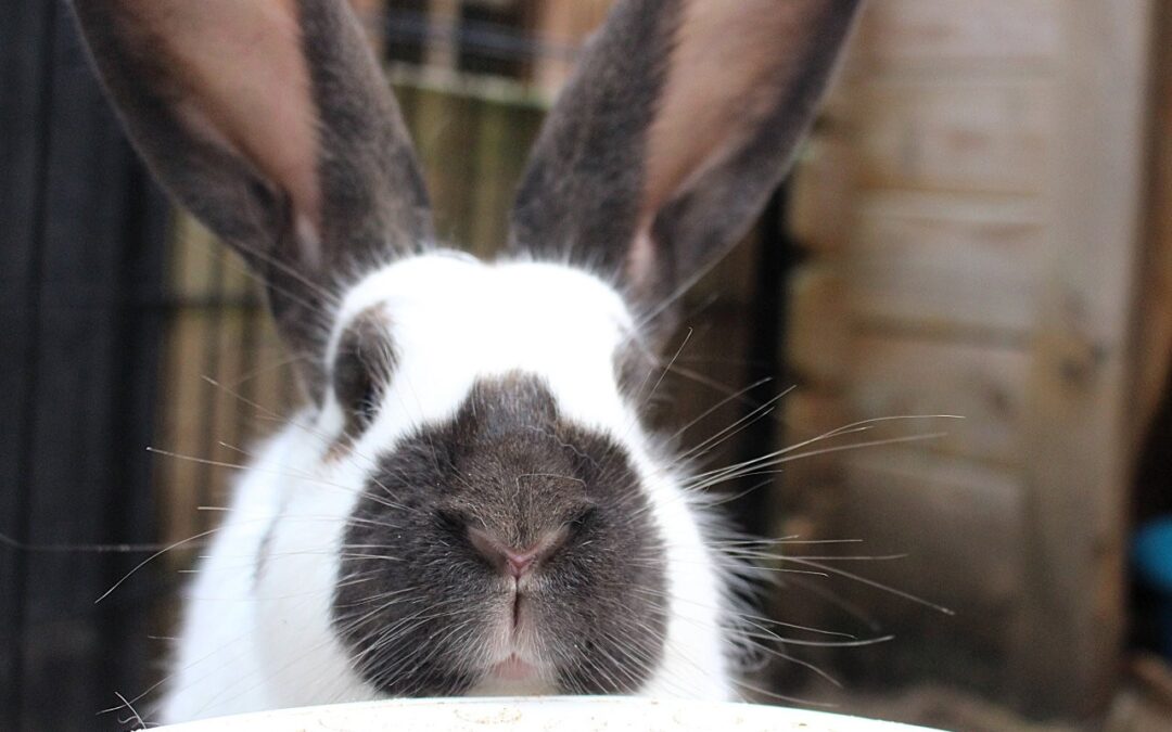 Hunter is gereserveerd